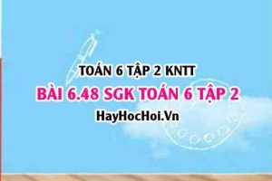 Bài 6.48 SGK Toán 6 tập 2 Kết nối tri thức